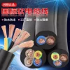 国标珠江电线RVV电缆线阻燃防冻234芯护套线2.5/4/6/10平方电源线